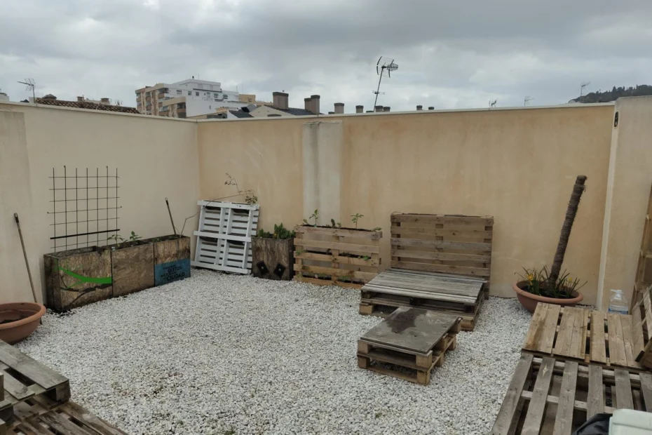 creación-plantas-palé-arrabal