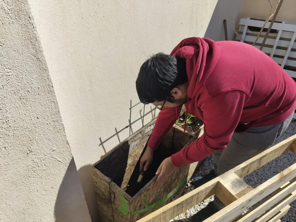 creación-plantas-palé-arrabal